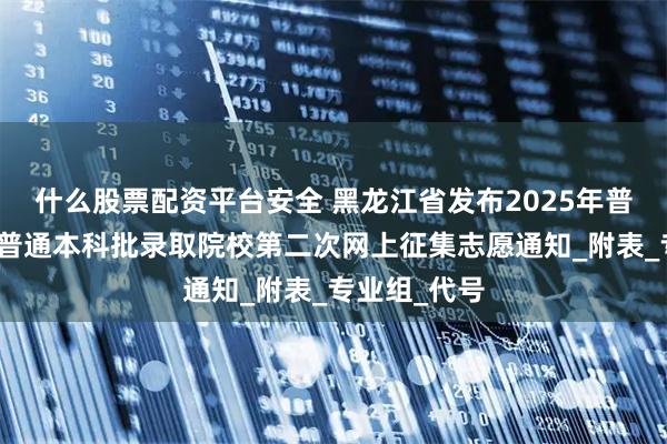 什么股票配资平台安全 黑龙江省发布2025年普通高校招生普通本科批录取院校第二次网上征集志愿通知_附表_专业组_代号