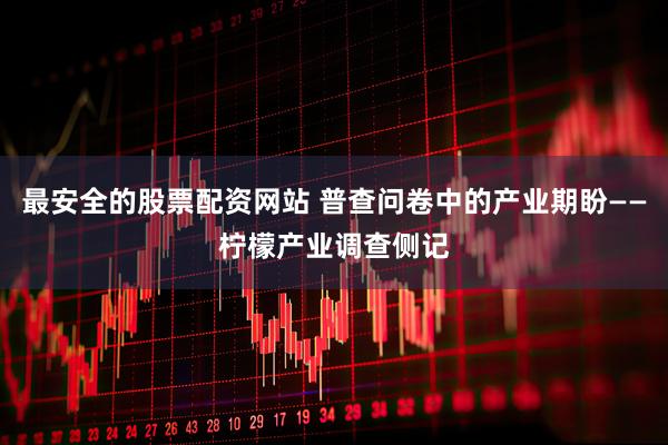 最安全的股票配资网站 普查问卷中的产业期盼——柠檬产业调查侧记